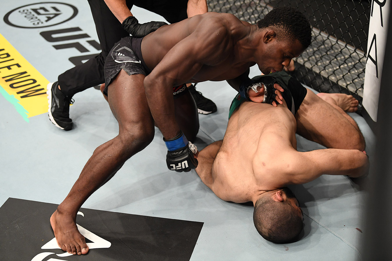 Бойцовский остров UFC