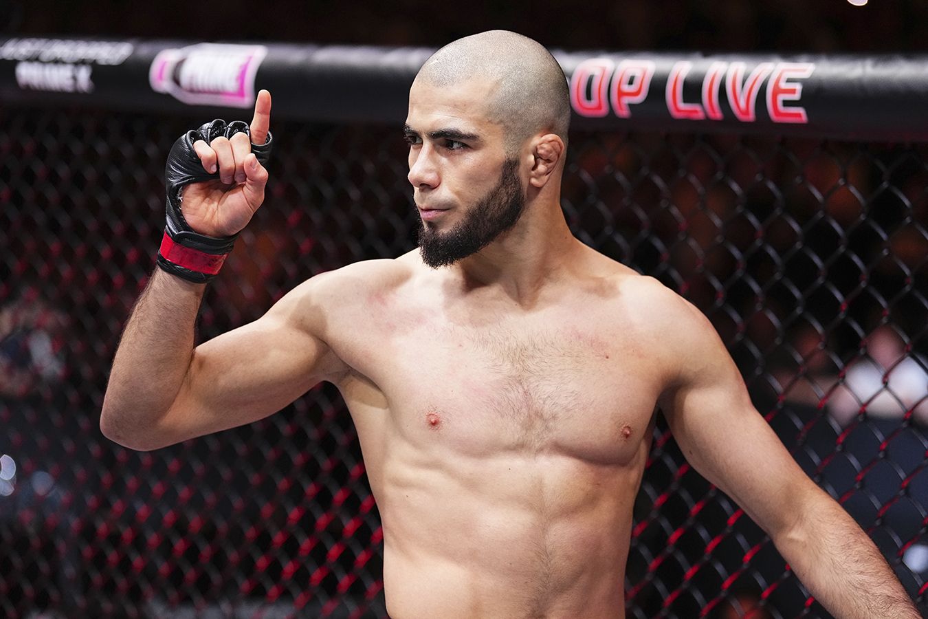 ���������� ����� ��������: ����.