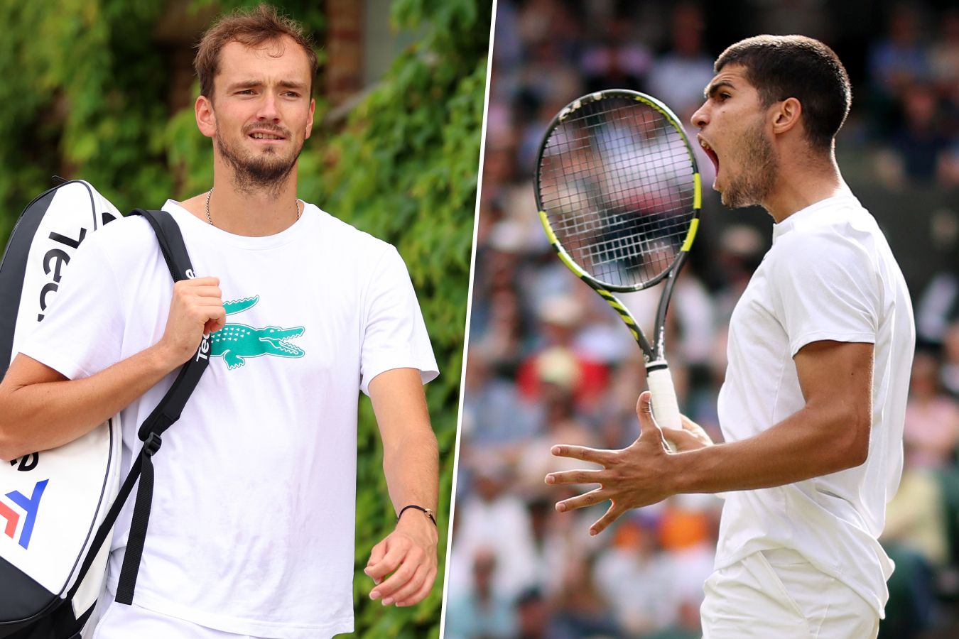 чехиялик маркета вондроушова. уимблдон 2024. уимблдон 2024 результаты мужчины. уимблдон 2024. новак джокович фото 2023.