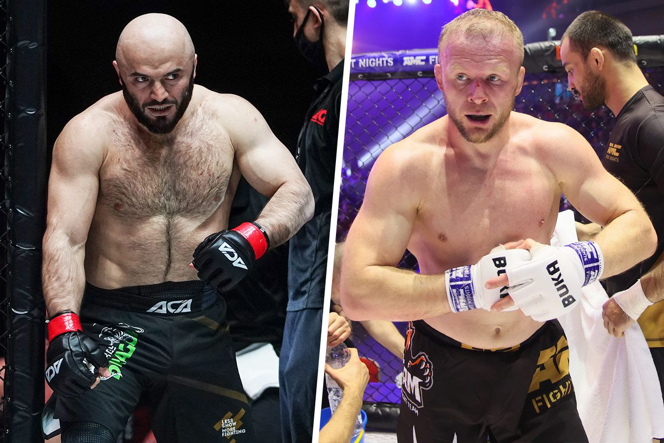 �������� �����������: ����.