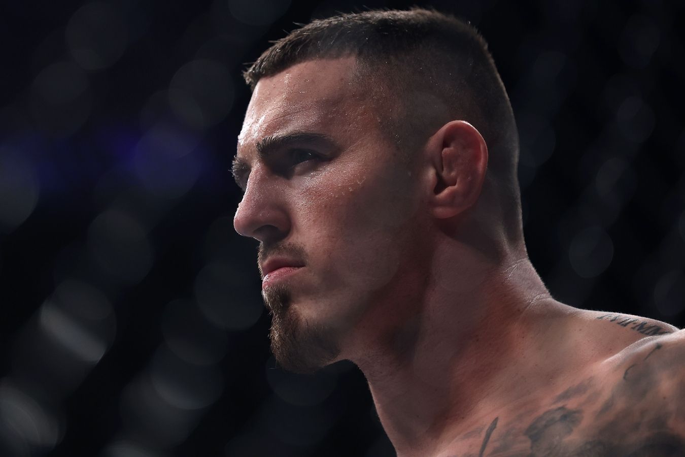 UFC гиря UFC 16 кг