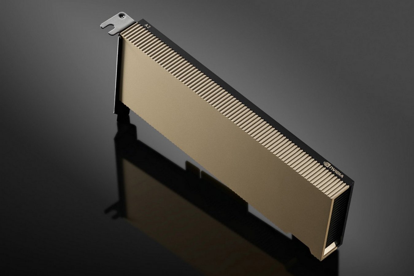 NVIDIA представила профессиональную видеокарту A2 с 16 Гб видеопамяти ...