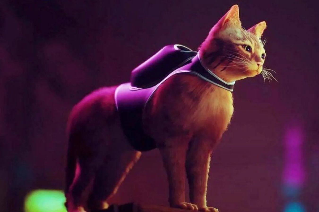 Скачать игру про кота