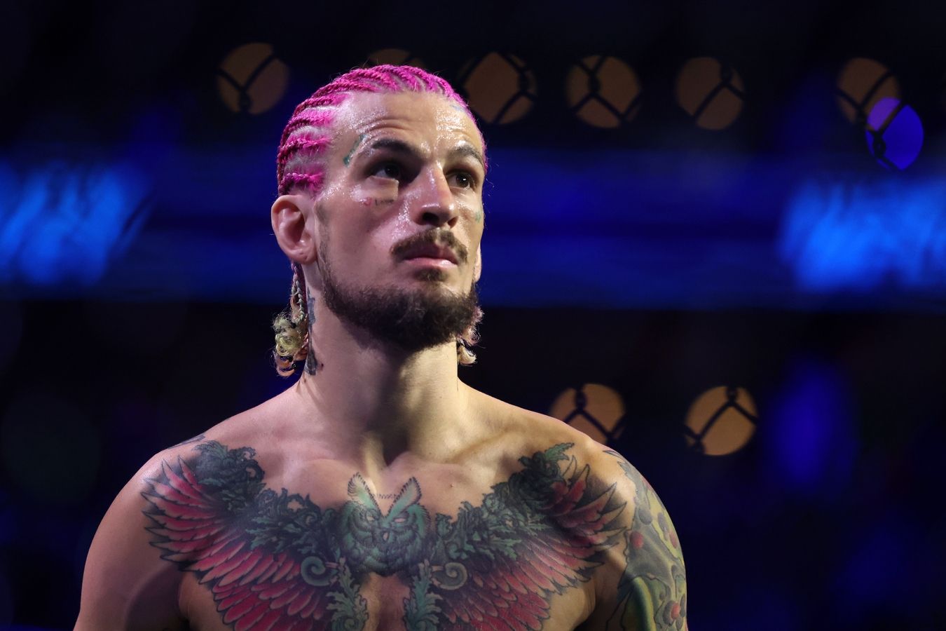 Шон О’Мэлли раскрыл свои планы в UFC после боя с Двалишвили - Чемпионат