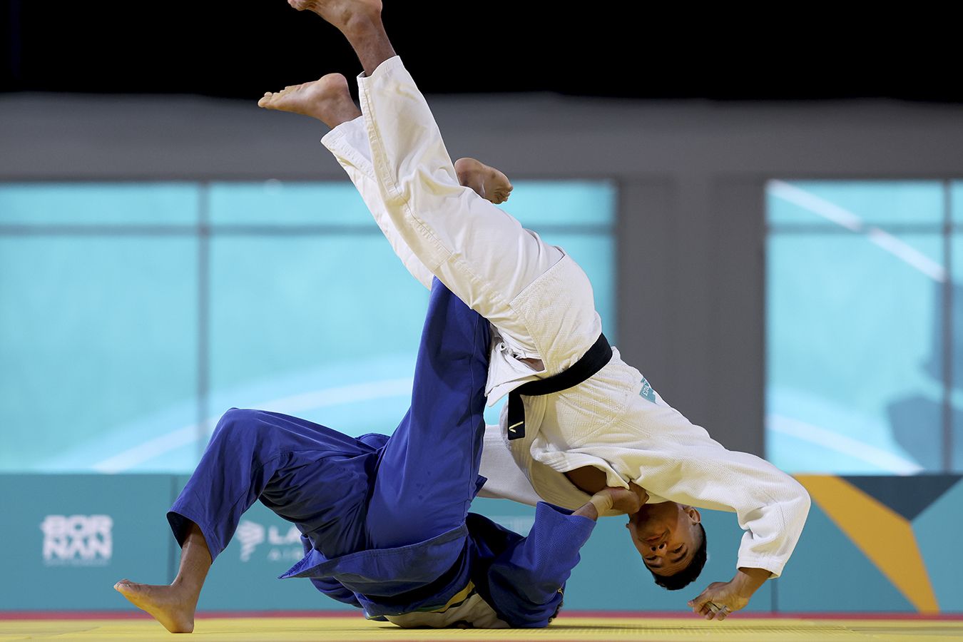 Olymp Labs ���� �����: ����.