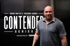 Претендентская серия Даны Уайта