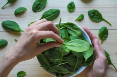 Шпинат: польза и вред для организма