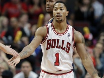    D-Rose      