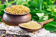 Пажитник: польза и вред для организма