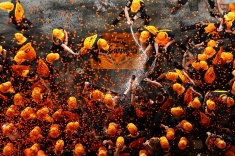 Итоги сезона Формулы-1 — 2025