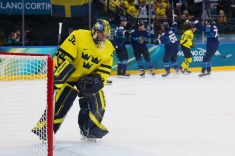 В Швеции разносят свою сборную по хоккею на ОИ