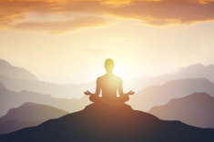 Так ведёт себя по-настоящему мудрое существо