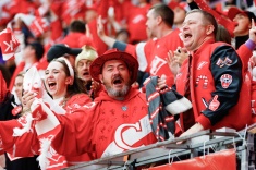 Российскому хоккею не нужен Fan ID