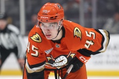 Чем хорош Сеннеке?