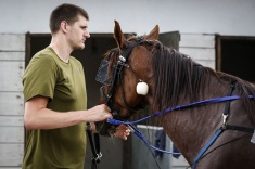 Йокич: для своих — свой, для чужих — загадка