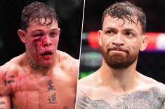 UFC: хайп вокруг «Боевых ботаников» улетучивается