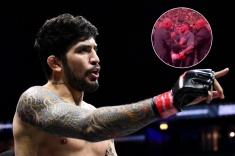 Команда Хабиба побила друга Макгрегора