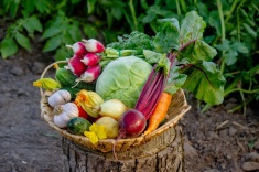 7 осенних продуктов, повышающих сахар в крови