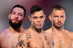 Средний вес UFC — дивизион убийц