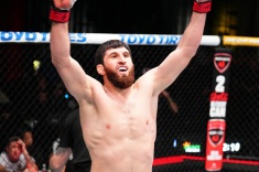 Прогноз на бой Алекс Перейра — Магомед Анкалаев