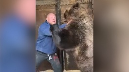 Отсидевший боец MMA поборол медведя