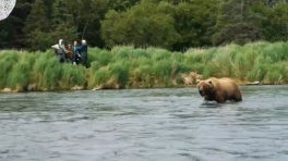 Форвард «Сиэтла» встретился с медведем во время съёмок на Аляске