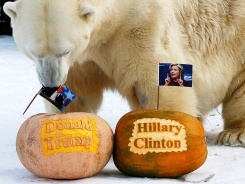 «Лестер», Трамп и ещё 5 андердогов, выстреливших в 2016 году