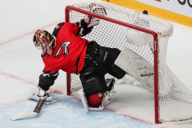«Авангард» — «Витязь». Прогноз: Сёмин пробьёт Бобкова в Балашихе
