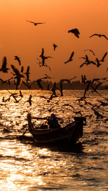 Прогулка на лодке в воде с летающими птицами