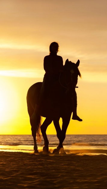 Девушка несётся на коне через бескрайнюю пустыню