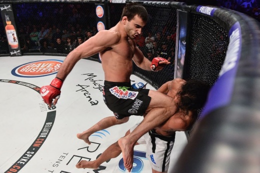 MMA News: Andrey Koreshkov confidently defeated Sabah Homasi at Bellator 264. Video