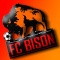 FC BISON