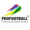 ProFootball (дубль)