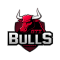 GTZ Bulls Esports