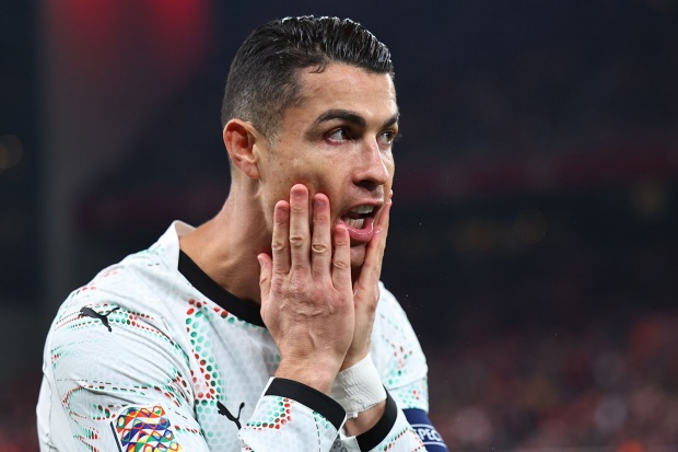 Portugal vs Denmark Soccer Match