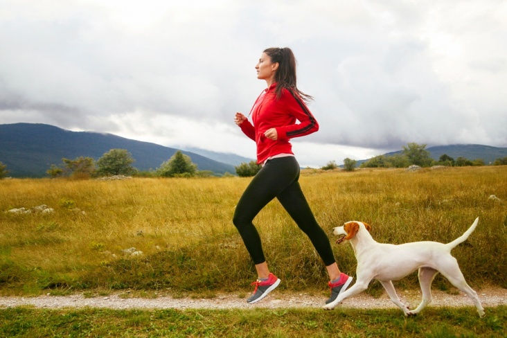 Что делать при встрече с собакой на пробежке?