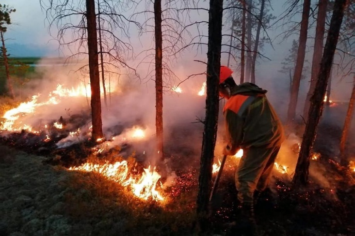 Чудовищные лесные пожары в Сибири