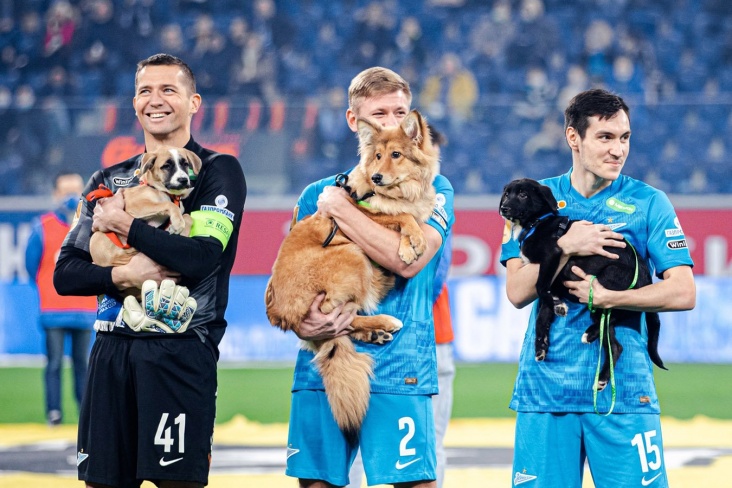 Футболисты «Зенита» со щенками