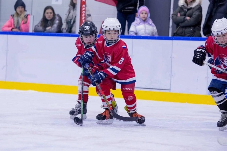 Сколько стоит растить сына-хоккеиста?