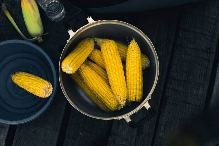 Как правильно варить кукурузу в початках в кастрюле — пошаговый рецепт с фото