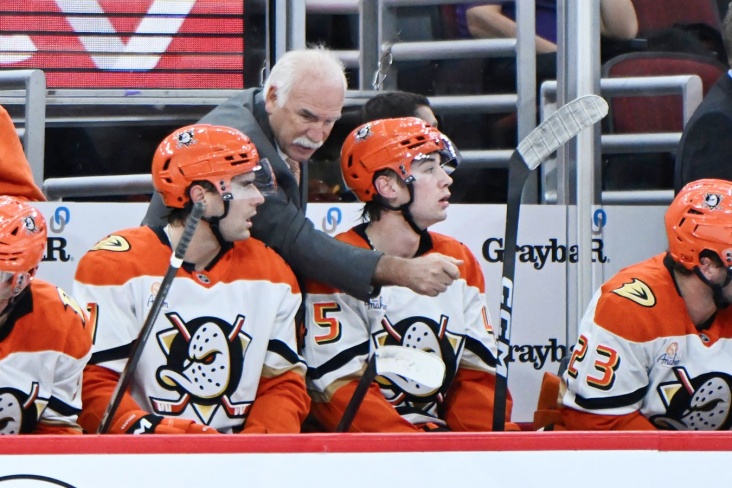 kak-anahajm-vorvalsya-v-chislo-liderov-nhl_17625237801759709292.jpg