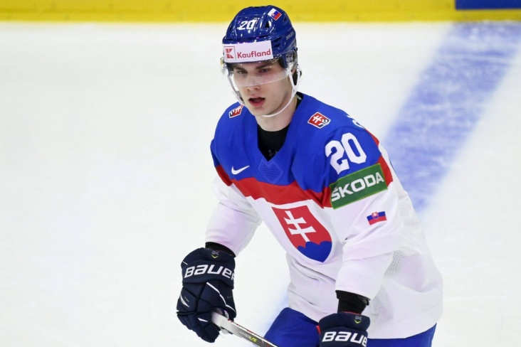 Словацкий гигант Слафковски растворился в НХЛ