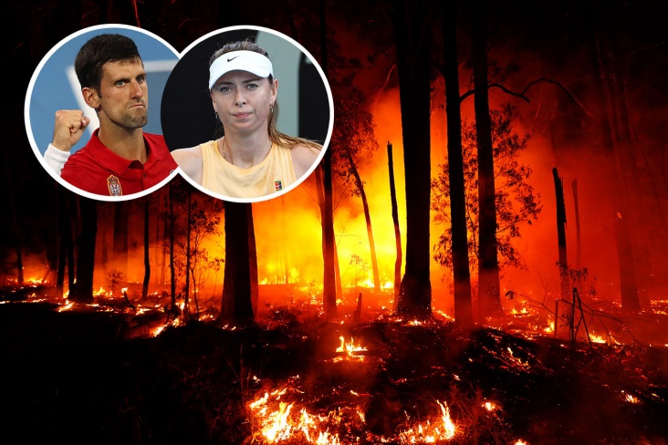 Шарапова и Джокович ведут борьбу с пожарами