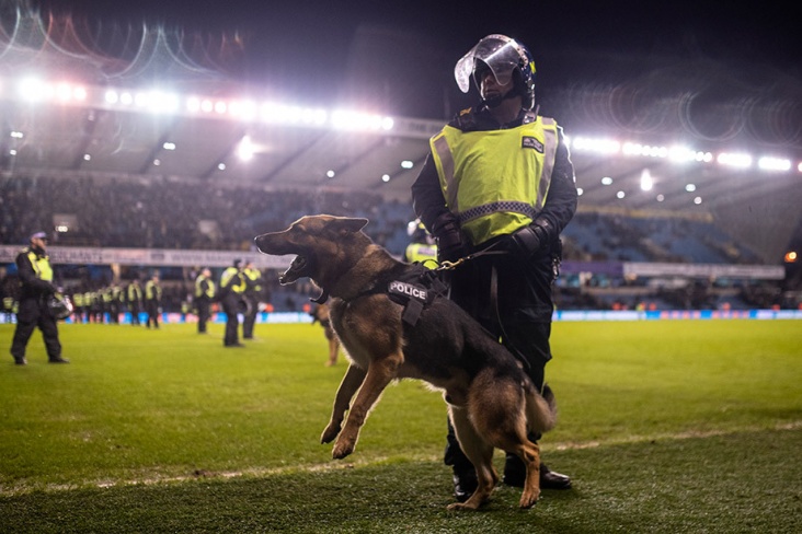 Как собака спасла английский клуб «Торки Юнайтед»