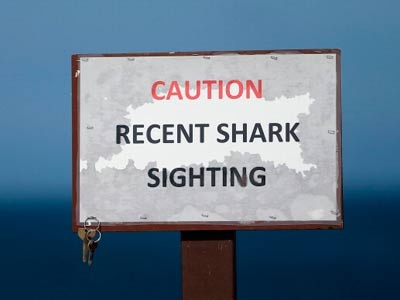 Осторожно! Акулы!