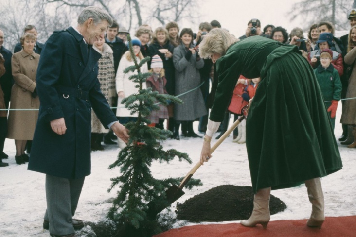 Принцесса Диана