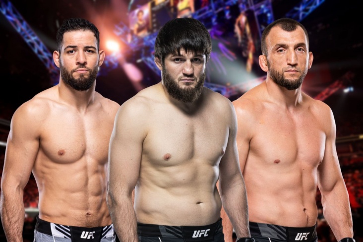 UFC Fight Night 235, Долидзе — Имавов