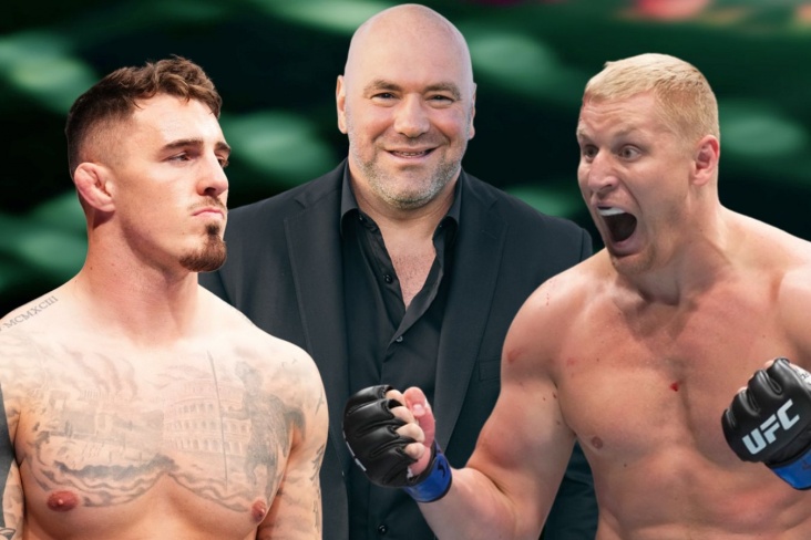 Павлович и Аспиналл — лучшие тяжеловесы UFC