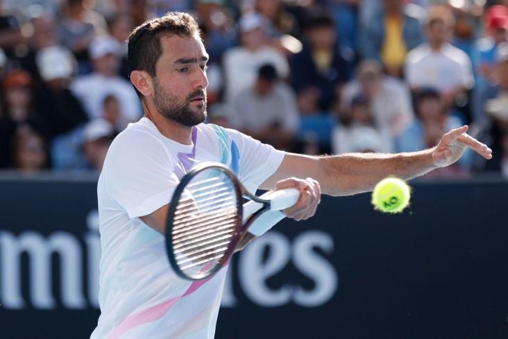 Марин Чилич