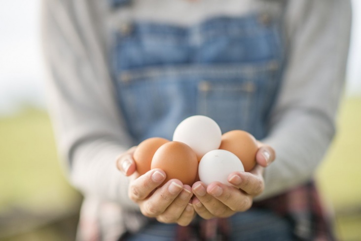 Диетолог рассказала, как правильно хранить яйца